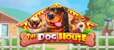 Dog House slot